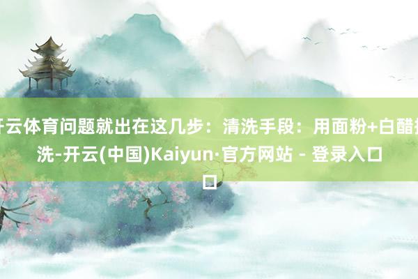 开云体育问题就出在这几步：清洗手段：用面粉+白醋搓洗-开云(中国)Kaiyun·官方网站 - 登录入口