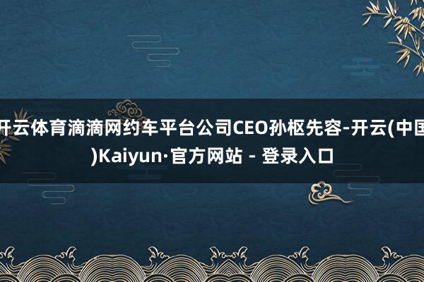开云体育滴滴网约车平台公司CEO孙枢先容-开云(中国)Kaiyun·官方网站 - 登录入口
